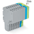 WAGO ELETTRONICA - Connettore femmina per 2 conduttori.Push-in CAGE CLAMP®.1,5 mm².grigio, blu, giallo-verde