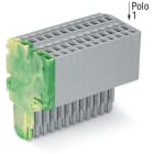 WAGO ELETTRONICA - Connettore femmina per 2 conduttori.Push-in CAGE CLAMP®.1,5 mm².giallo-verde/grigio