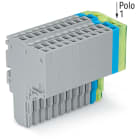 WAGO ELETTRONICA - Connettore femmina per 2 conduttori.Push-in CAGE CLAMP®.1,5 mm².grigio, blu, giallo-verde