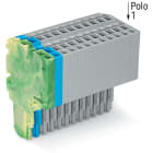 WAGO ELETTRONICA - Connettore femmina per 2 conduttori.Push-in CAGE CLAMP®.1,5 mm².giallo-verde/blu/grigio