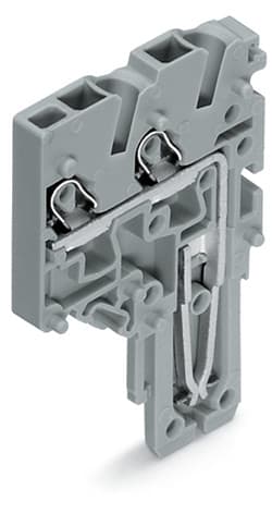 WAGO ELETTRONICA - Modulo terminale per connettore femmina per 2 conduttori.Push-in CAGE CLAMP®.1,5 mm².grigio