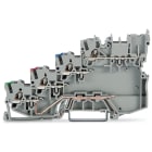 WAGO ELETTRONICA - Morsetto per sensore per 4 conduttori.per sensori PNP (commutazione del positivo).con contatto di terra.grigio 2020-5417