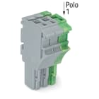 WAGO ELETTRONICA - Spina femmina per 1 conduttore.Push-in CAGE CLAMP®.4 mm².grigio, giallo-verde
