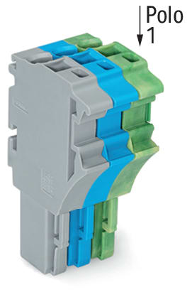 WAGO ELETTRONICA - Spina femmina per 1 conduttore.Push-in CAGE CLAMP®.4 mm².grigio, blu, giallo-verde
