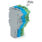 WAGO ELETTRONICA - Spina femmina per 1 conduttore.Push-in CAGE CLAMP®.4 mm².grigio, blu, giallo-verde