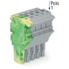 Miniatura Immagine principale 1