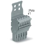 WAGO ELETTRONICA - Spina femmina per 1 conduttore.Push-in CAGE CLAMP®.4 mm².grigio