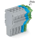 WAGO ELETTRONICA - Spina femmina per 1 conduttore.Push-in CAGE CLAMP®.4 mm².grigio, blu, giallo-verde