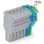 WAGO ELETTRONICA - Spina femmina per 1 conduttore.Push-in CAGE CLAMP®.4 mm².grigio, blu, giallo-verde