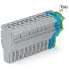 WAGO ELETTRONICA - Spina femmina per 1 conduttore.Push-in CAGE CLAMP®.4 mm².grigio, blu, giallo-verde