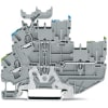 Miniatura Immagine principale 1