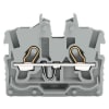 Miniatura Immagine principale 1