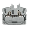 Miniatura Immagine principale 1