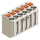 WAGO ELETTRONICA - Spina femmina per 1 conduttore.pulsante.Push-in CAGE CLAMP®.grigio chiaro