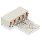 WAGO ELETTRONICA - Connettore femmina 1 cond. THT, ang..pulsante.Push-in CAGE CLAMP®.grigio chiaro