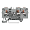 Miniatura Immagine principale 1