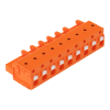 Miniatura Immagine principale 1