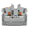 Miniatura Immagine principale 1