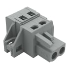 WAGO ELETTRONICA - Spina femmina per 1 conduttore.CAGE CLAMP®.2,5 mm².grigio