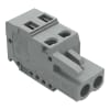 Miniatura Immagine principale 1