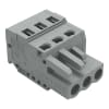 Miniatura Immagine principale 1
