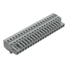 WAGO ELETTRONICA - Spina femmina per 1 conduttore.CAGE CLAMP®.2,5 mm².grigio