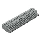 WAGO ELETTRONICA - Spina femmina per 1 conduttore.CAGE CLAMP®.2,5 mm².grigio