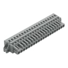 WAGO ELETTRONICA - Spina femmina per 1 conduttore.CAGE CLAMP®.2,5 mm².grigio