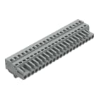 WAGO ELETTRONICA - Spina femmina per 1 conduttore.CAGE CLAMP®.2,5 mm².grigio