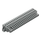 WAGO ELETTRONICA - Spina femmina per 1 conduttore.CAGE CLAMP®.2,5 mm².grigio
