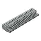 WAGO ELETTRONICA - Spina femmina per 1 conduttore.CAGE CLAMP®.2,5 mm².grigio