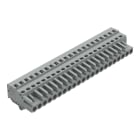 WAGO ELETTRONICA - Spina femmina per 1 conduttore.CAGE CLAMP®.2,5 mm².grigio
