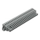 WAGO ELETTRONICA - Spina femmina per 1 conduttore.CAGE CLAMP®.2,5 mm².grigio