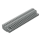 WAGO ELETTRONICA - Spina femmina per 1 conduttore.CAGE CLAMP®.2,5 mm².grigio