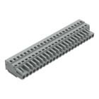 WAGO ELETTRONICA - Spina femmina per 1 conduttore.CAGE CLAMP®.2,5 mm².grigio