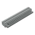 WAGO ELETTRONICA - Spina femmina per 1 conduttore.CAGE CLAMP®.2,5 mm².grigio