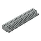 WAGO ELETTRONICA - Spina femmina per 1 conduttore.CAGE CLAMP®.2,5 mm².grigio