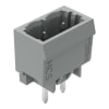 Miniatura Immagine principale 1