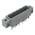 WAGO ELETTRONICA - Connettore maschio THT.Pin a saldare 1,0 x 1,0 mm.dritto.grigio