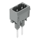 WAGO ELETTRONICA - Connettore maschio per morsetti per montaggio su guida.Pin 1,2 x 1,2 mm.dritto.grigio