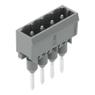 WAGO ELETTRONICA - Connettore maschio per morsetti per montaggio su guida.Pin 1,2 x 1,2 mm.dritto.grigio
