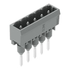 WAGO ELETTRONICA - Connettore maschio per morsetti per montaggio su guida.Pin 1,2 x 1,2 mm.dritto.grigio