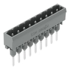 WAGO ELETTRONICA - Connettore maschio per morsetti per montaggio su guida.Pin 1,2 x 1,2 mm.dritto.grigio
