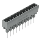 WAGO ELETTRONICA - Connettore maschio per morsetti per montaggio su guida.Pin 1,2 x 1,2 mm.dritto.grigio