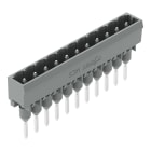WAGO ELETTRONICA - Connettore maschio per morsetti per montaggio su guida.Pin 1,2 x 1,2 mm.dritto.grigio