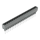 WAGO ELETTRONICA - Connettore maschio per morsetti per montaggio su guida.Pin 1,2 x 1,2 mm.dritto.grigio