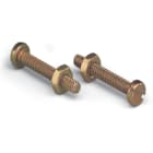 WAGO ELETTRONICA - Vite con dado.M2x12. per elemento di fissaggio