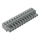 WAGO ELETTRONICA - Spina femmina per 1 conduttore.CAGE CLAMP®.2,5 mm².grigio