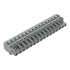 WAGO ELETTRONICA - Spina femmina per 1 conduttore.CAGE CLAMP®.2,5 mm².grigio