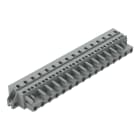 WAGO ELETTRONICA - Spina femmina per 1 conduttore.CAGE CLAMP®.2,5 mm².grigio